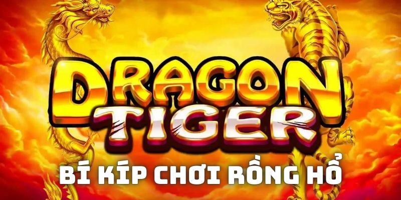 Chia sẻ bí kíp đánh Dragon Tiger nắm chắc cơ hội ăn tiền